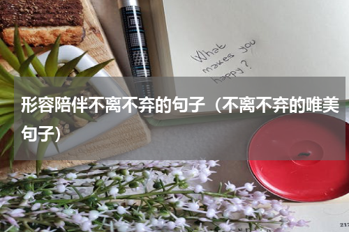 形容陪伴不离不弃的句子（不离不弃的唯美句子）