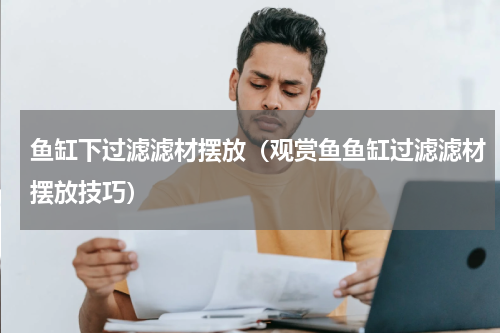 鱼缸下过滤滤材摆放（观赏鱼鱼缸过滤滤材摆放技巧）