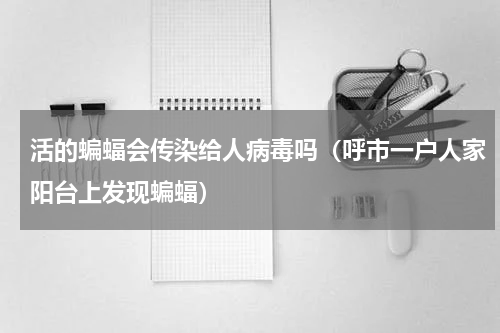 活的蝙蝠会传染给人病毒吗（呼市一户人家阳台上发现蝙蝠）