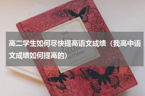 高二学生如何尽快提高语文成绩（我高中语文成绩如何提高的）