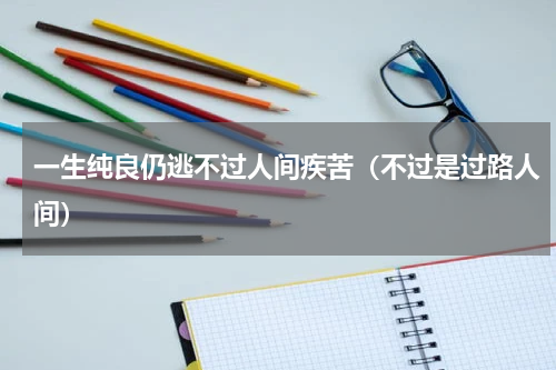 一生纯良仍逃不过人间疾苦（不过是过路人间）