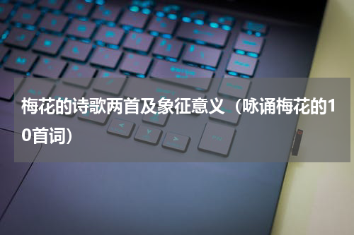 梅花的诗歌两首及象征意义（咏诵梅花的10首词）