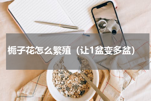 栀子花怎么繁殖（让1盆变多盆）