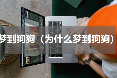 梦到狗狗（为什么梦到狗狗）
