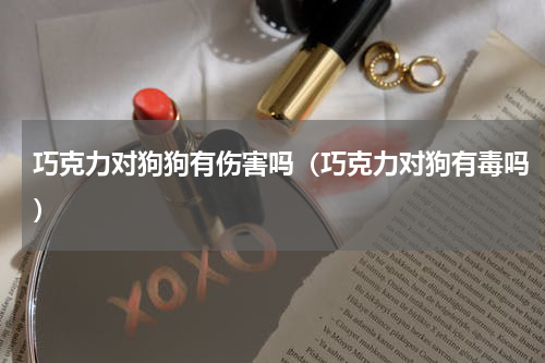巧克力对狗狗有伤害吗（巧克力对狗有毒吗）