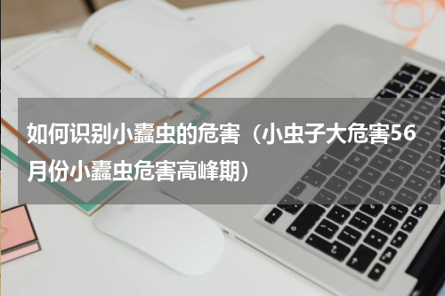 如何识别小蠹虫的危害（小虫子大危害56月份小蠹虫危害高峰期）