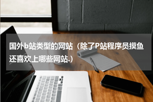 国外b站类型的网站（除了P站程序员摸鱼还喜欢上哪些网站.）