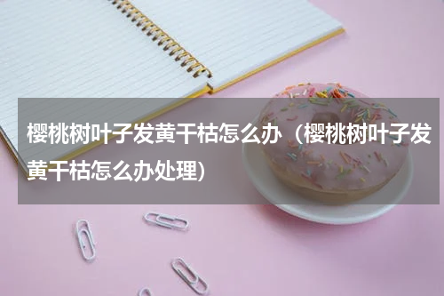 樱桃树叶子发黄干枯怎么办（樱桃树叶子发黄干枯怎么办处理）