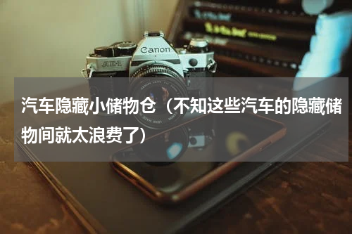 汽车隐藏小储物仓（不知这些汽车的隐藏储物间就太浪费了）