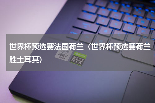 世界杯预选赛法国荷兰（世界杯预选赛荷兰胜土耳其）