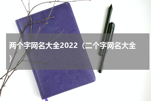 两个字网名大全2022（二个字网名大全）