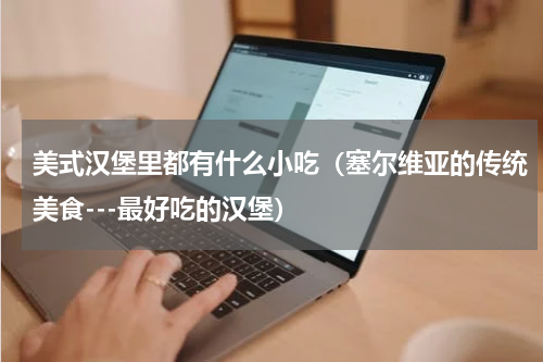 美式汉堡里都有什么小吃（塞尔维亚的传统美食---最好吃的汉堡）