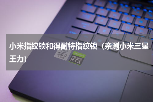 小米指纹锁和得耐特指纹锁（亲测小米三星王力）