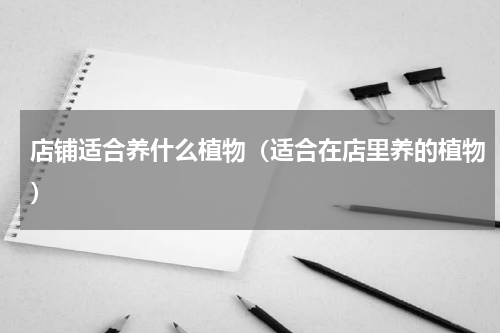 店铺适合养什么植物（适合在店里养的植物）