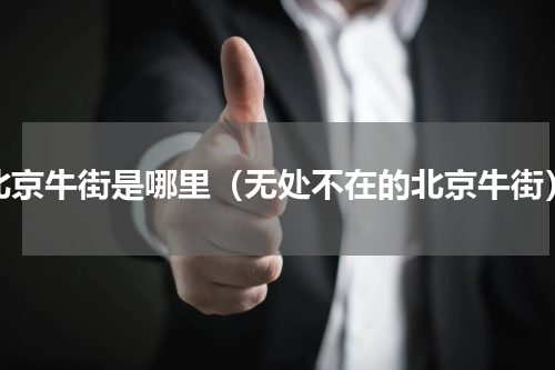 北京牛街是哪里（无处不在的北京牛街）