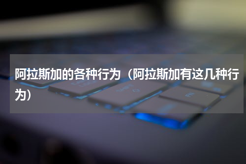 阿拉斯加的各种行为（阿拉斯加有这几种行为）