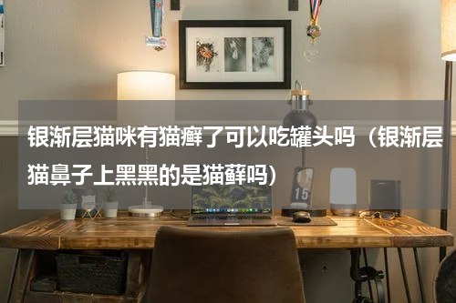 银渐层猫咪有猫癣了可以吃罐头吗（银渐层猫鼻子上黑黑的是猫藓吗）