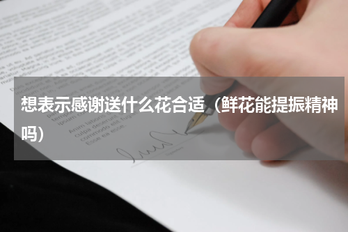 想表示感谢送什么花合适（鲜花能提振精神吗）