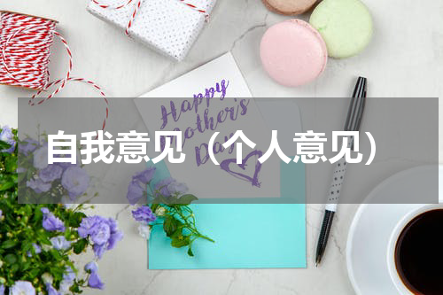自我意见（个人意见）
