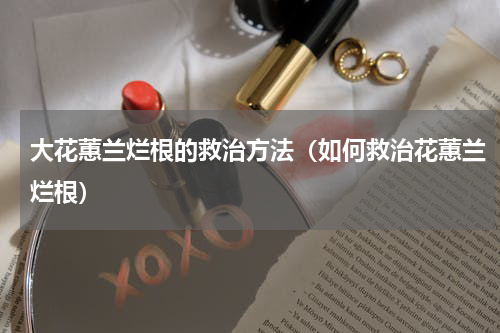 大花蕙兰烂根的救治方法（如何救治花蕙兰烂根）