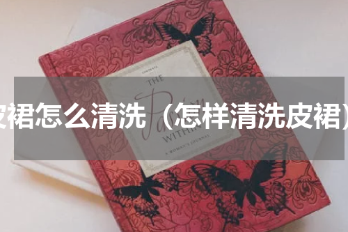 皮裙怎么清洗（怎样清洗皮裙）