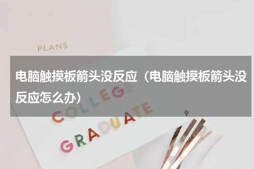 电脑触摸板箭头没反应（电脑触摸板箭头没反应怎么办）
