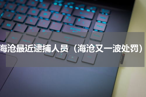 海沧最近逮捕人员（海沧又一波处罚）