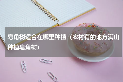 皂角树适合在哪里种植（农村有的地方满山种植皂角树）