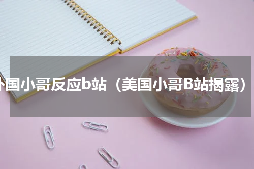 外国小哥反应b站（美国小哥B站揭露）