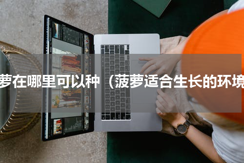 菠萝在哪里可以种（菠萝适合生长的环境）