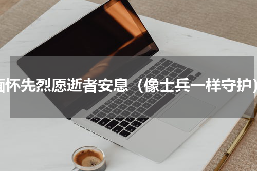 缅怀先烈愿逝者安息（像士兵一样守护）