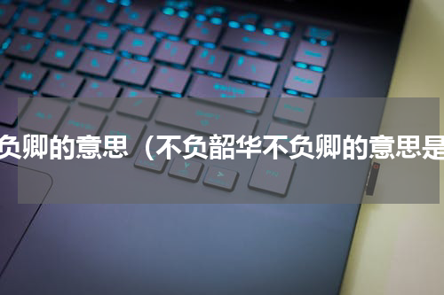 不负卿的意思（不负韶华不负卿的意思是）