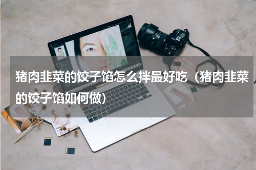猪肉韭菜的饺子馅怎么拌最好吃（猪肉韭菜的饺子馅如何做）