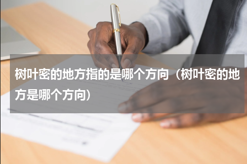 树叶密的地方指的是哪个方向（树叶密的地方是哪个方向）