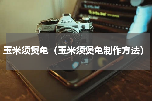 玉米须煲龟（玉米须煲龟制作方法）