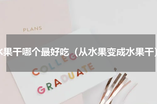 水果干哪个最好吃（从水果变成水果干）