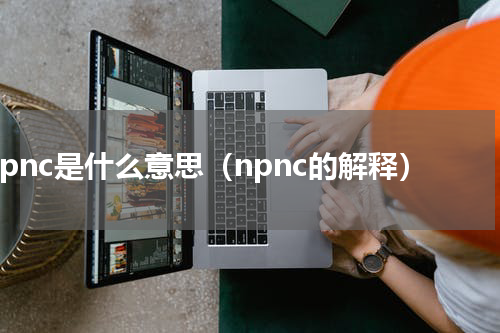 npnc是什么意思（npnc的解释）