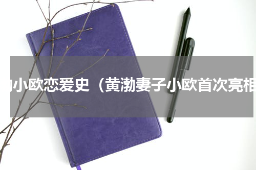 黄渤小欧恋爱史（黄渤妻子小欧首次亮相）