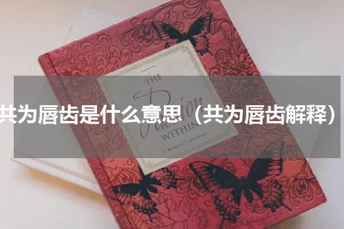 共为唇齿是什么意思（共为唇齿解释）