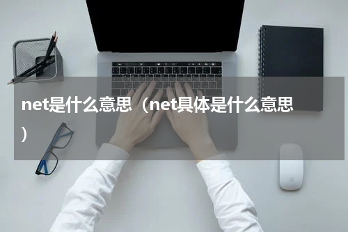 net是什么意思（net具体是什么意思）