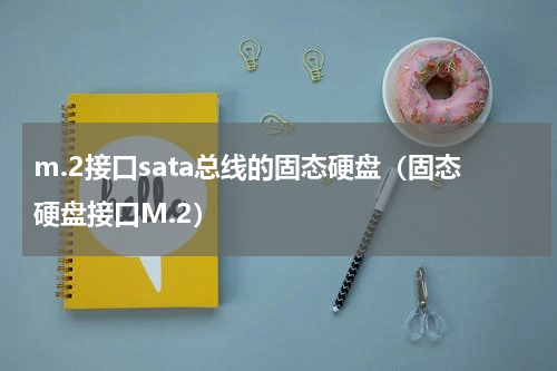 m.2接口sata总线的固态硬盘（固态硬盘接口M.2）