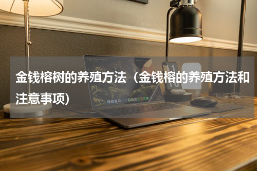 金钱榕树的养殖方法（金钱榕的养殖方法和注意事项）