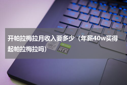 开帕拉梅拉月收入要多少（年薪40w买得起帕拉梅拉吗）