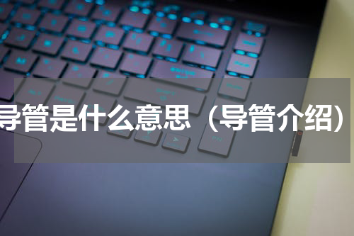 导管是什么意思（导管介绍）