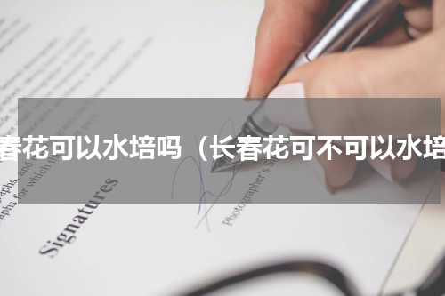 长春花可以水培吗（长春花可不可以水培）