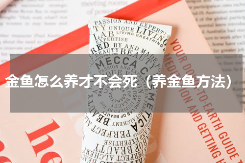 金鱼怎么养才不会死（养金鱼方法）
