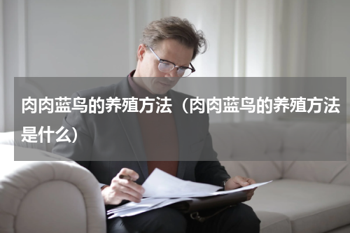 肉肉蓝鸟的养殖方法（肉肉蓝鸟的养殖方法是什么）