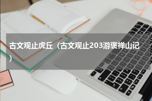 古文观止虎丘（古文观止203游褒禅山记）
