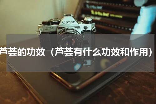 芦荟的功效（芦荟有什么功效和作用）