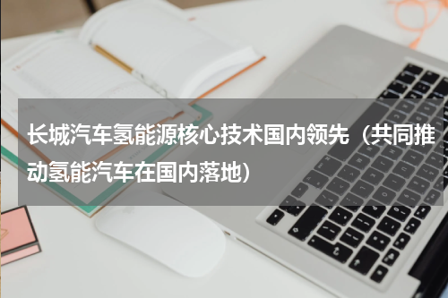 长城汽车氢能源核心技术国内领先（共同推动氢能汽车在国内落地）